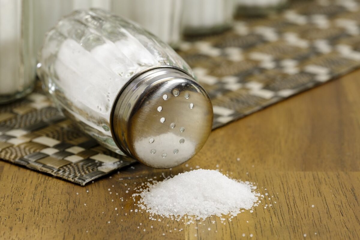 Пищевая соль оптом